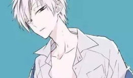 男人动漫,探寻男性角色魅力与情感世界