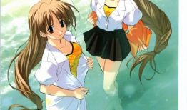 双胞胎动漫,动漫中的孪生情缘