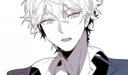 男人动漫,探寻男性角色魅力与情感世界